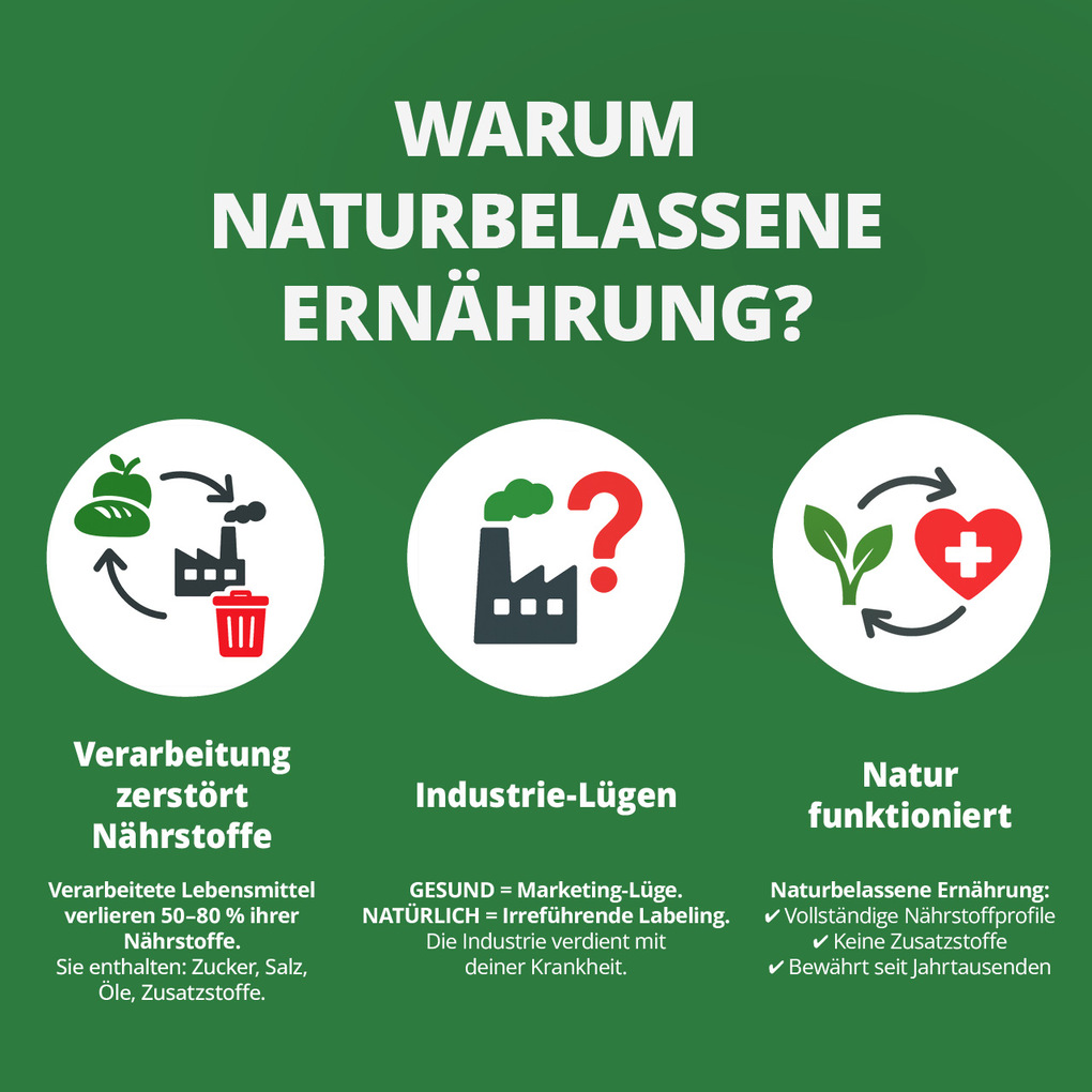 Weitere Ansicht: Die Krankheitslügen - Was man macht, um nicht krank zu werden. | Fabian Kowallik