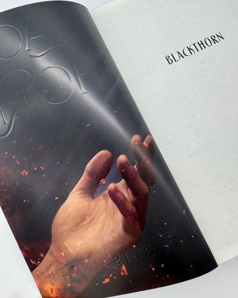 Weitere Ansicht: Blackthorn | J. T. Geissinger