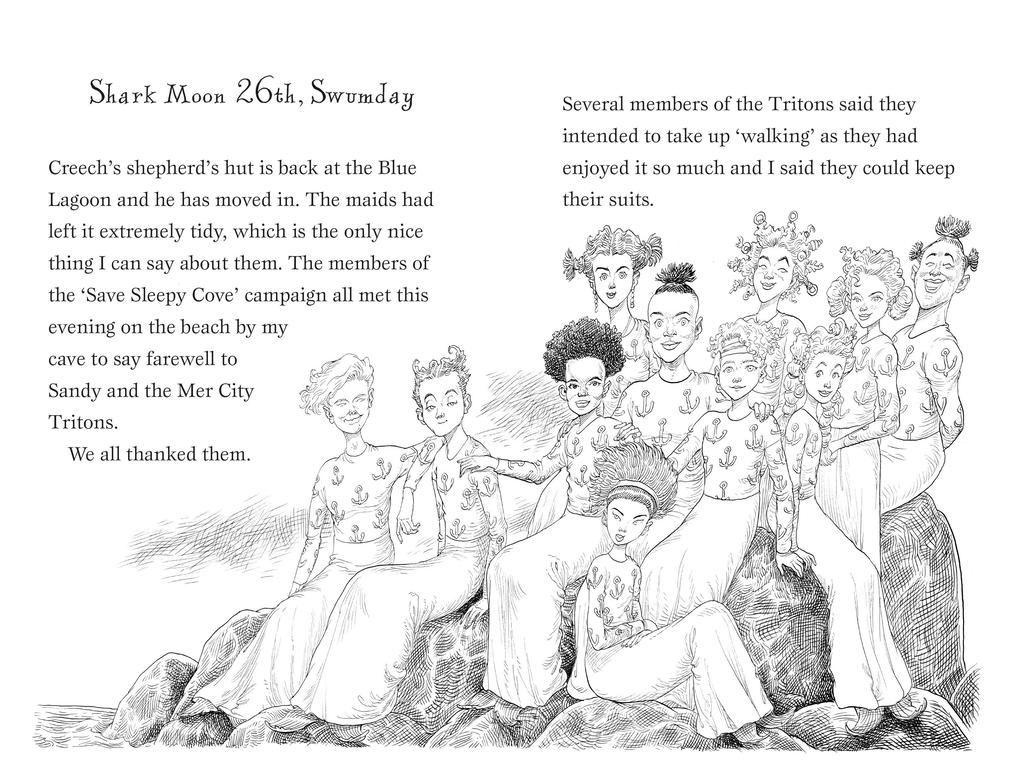 Weitere Ansicht: A Mermaid's Diary | Chris Riddell