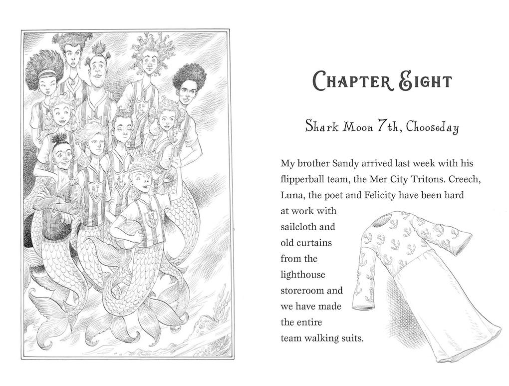 Weitere Ansicht: A Mermaid's Diary | Chris Riddell