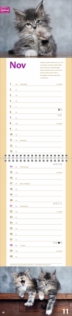 Weitere Ansicht: Whiskas Katzenleben Kalender 2027