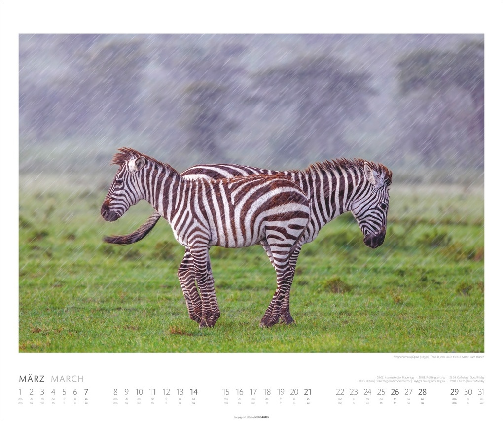 Weitere Ansicht: African Wildlife Kalender 2027