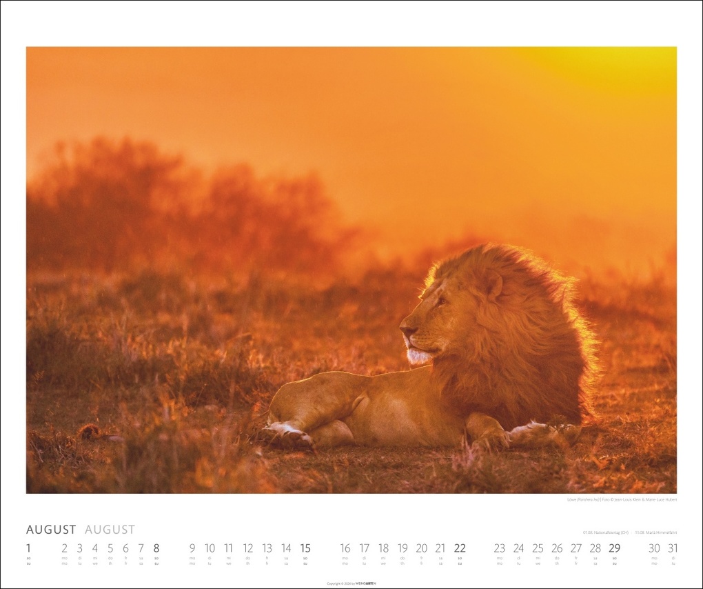 Weitere Ansicht: African Wildlife Kalender 2027
