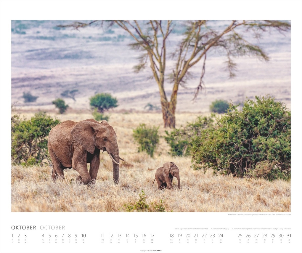 Weitere Ansicht: African Wildlife Kalender 2027