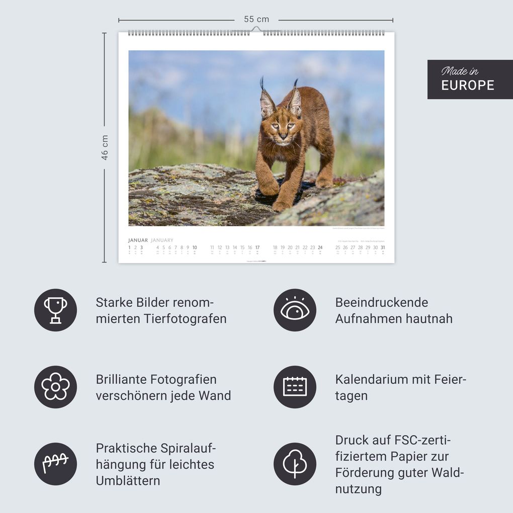 Weitere Ansicht: African Wildlife Kalender 2027