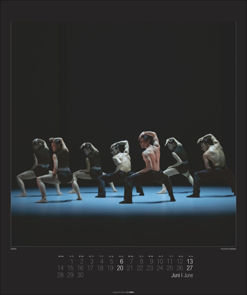 Weitere Ansicht: Stuttgarter Ballett Kalender 2027 | Tamas Detrich