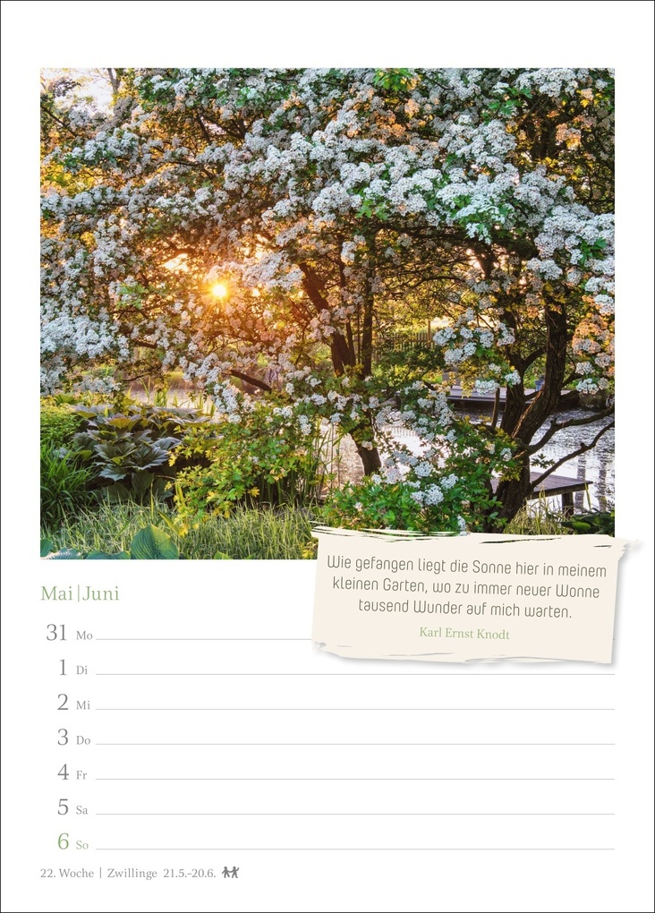 Weitere Ansicht: Zauberhafte Gärten Wochenkalender 2027 - mit Zitaten