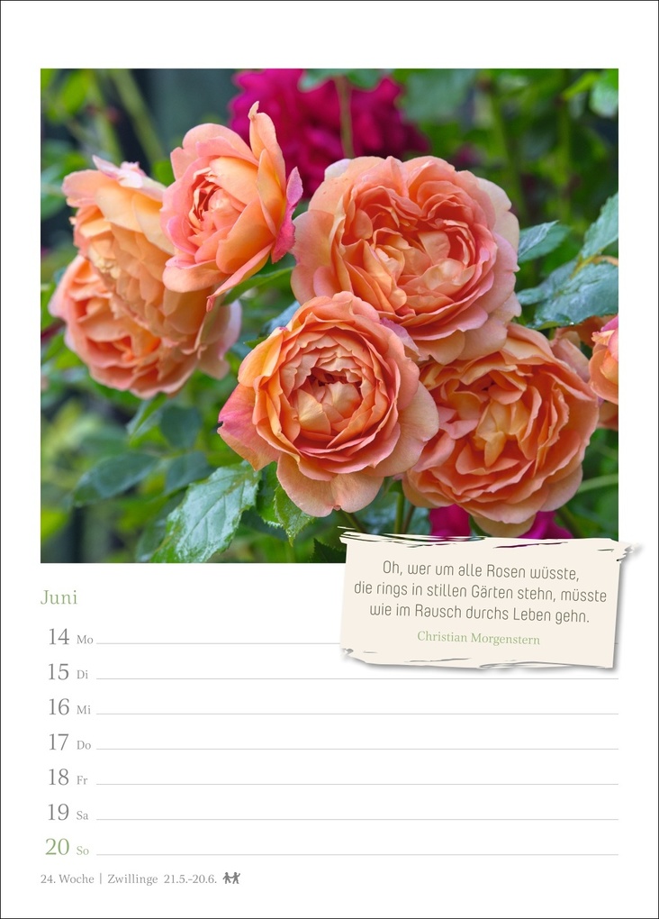 Weitere Ansicht: Zauberhafte Gärten Wochenkalender 2027 - mit Zitaten