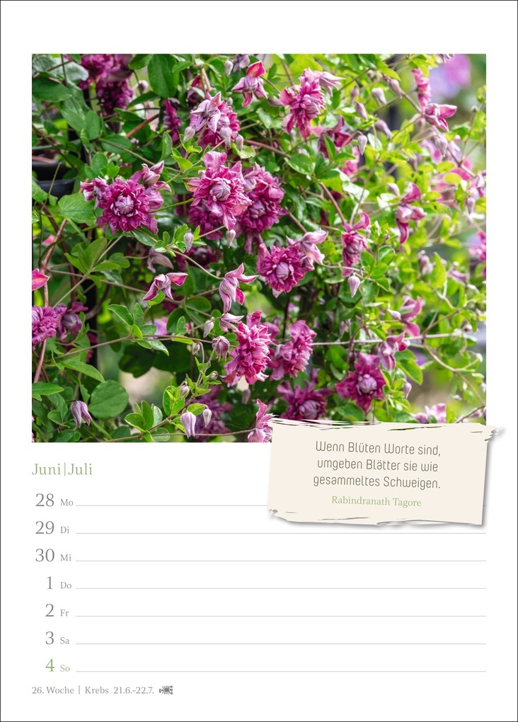 Weitere Ansicht: Zauberhafte Gärten Wochenkalender 2027 - mit Zitaten