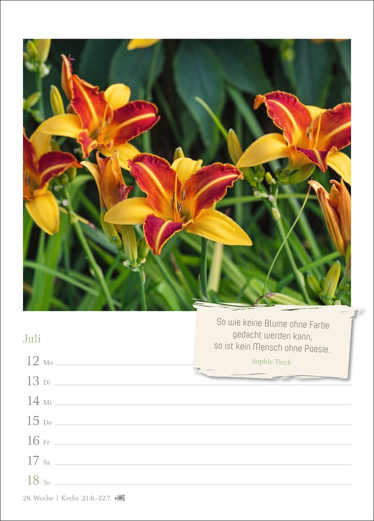 Weitere Ansicht: Zauberhafte Gärten Wochenkalender 2027 - mit Zitaten