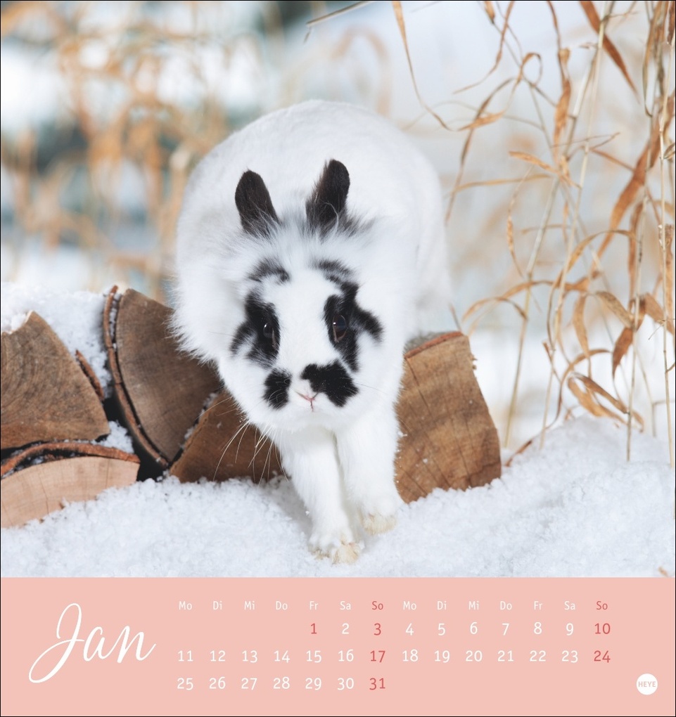 Weitere Ansicht: Süße Kaninchen Postkartenkalender 2027