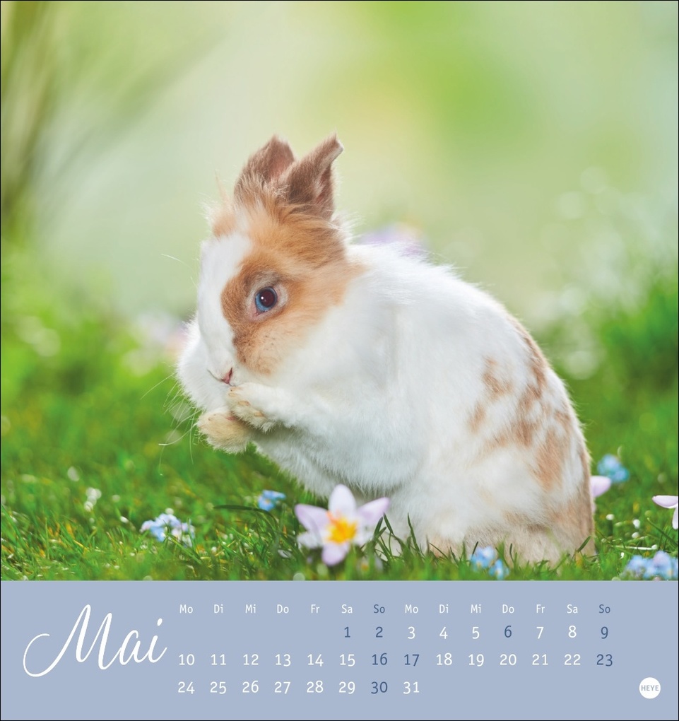 Weitere Ansicht: Süße Kaninchen Postkartenkalender 2027