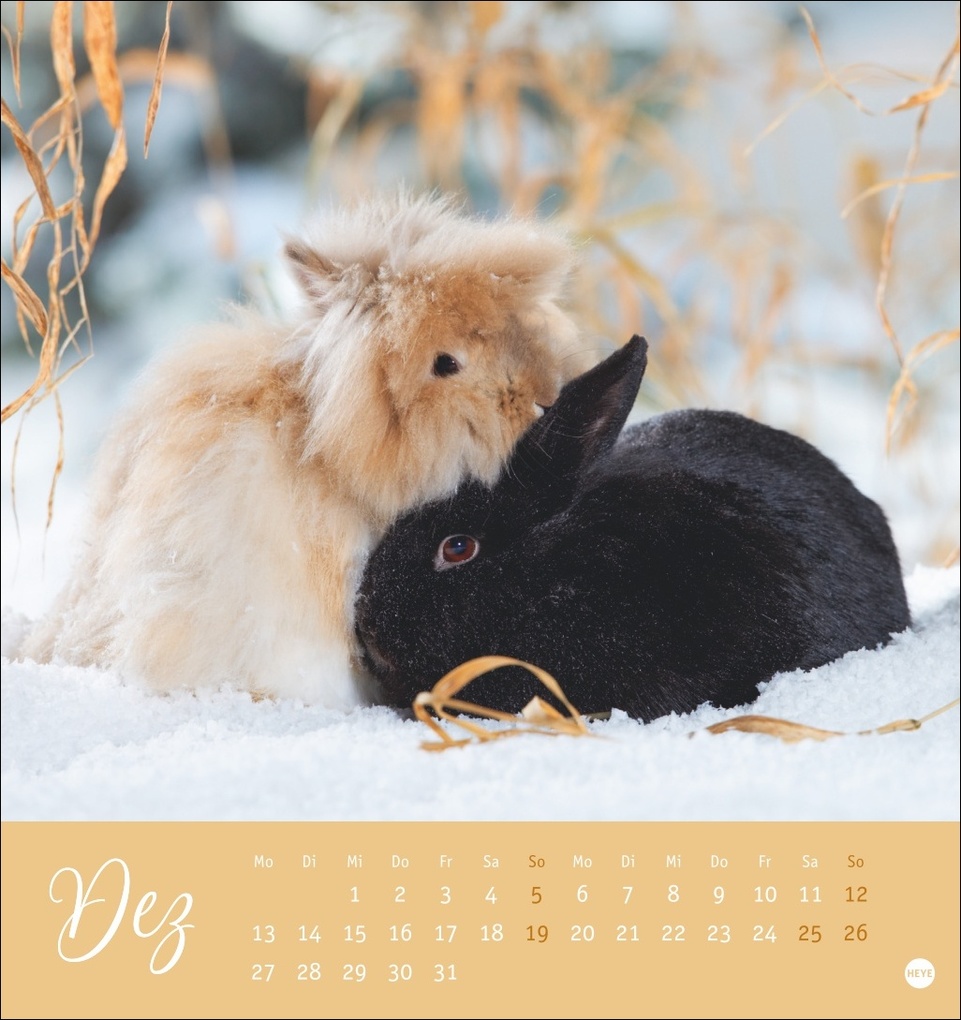 Weitere Ansicht: Süße Kaninchen Postkartenkalender 2027
