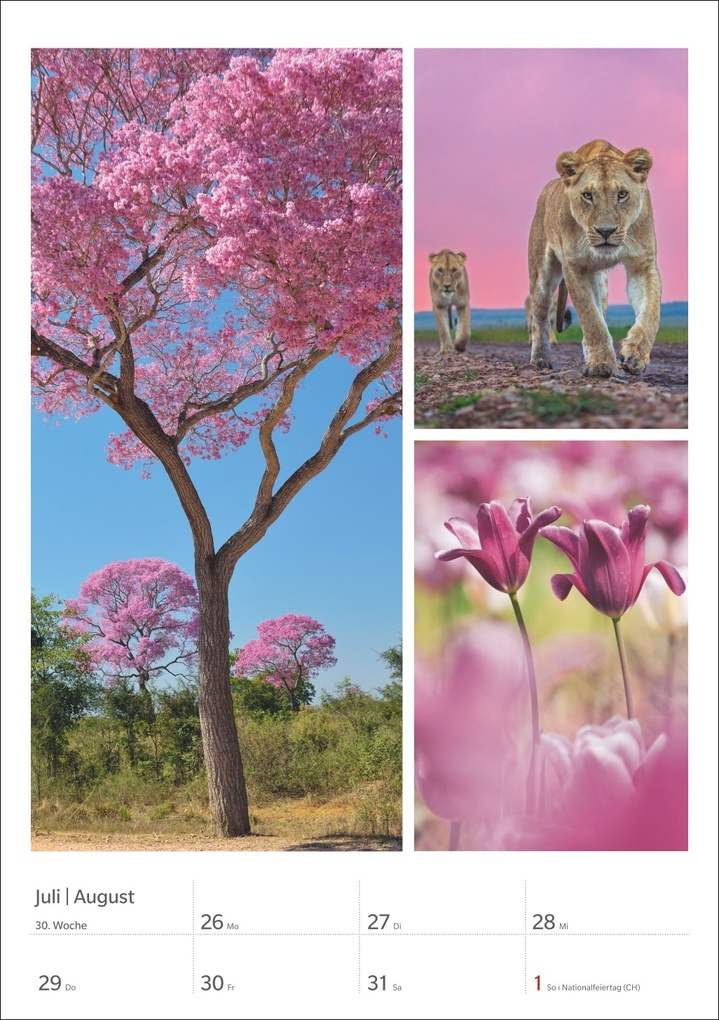 Weitere Ansicht: Magie der Farben Wochenplaner 2027