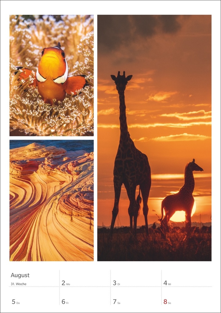 Weitere Ansicht: Magie der Farben Wochenplaner 2027