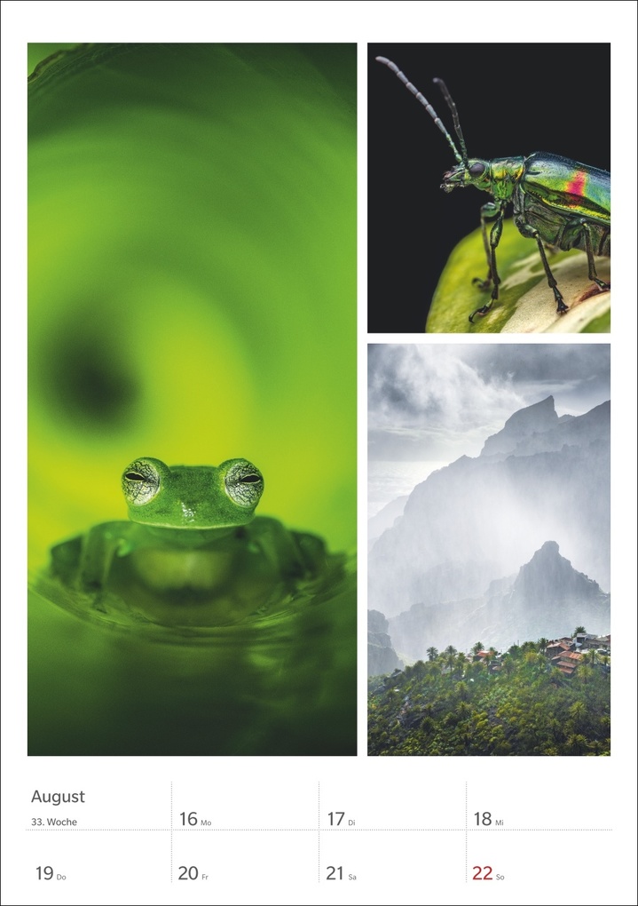 Weitere Ansicht: Magie der Farben Wochenplaner 2027