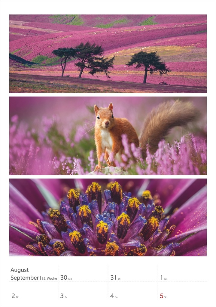 Weitere Ansicht: Magie der Farben Wochenplaner 2027