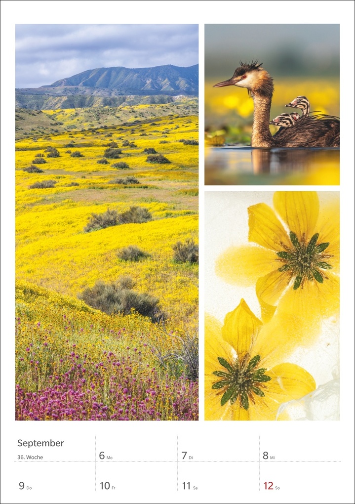 Weitere Ansicht: Magie der Farben Wochenplaner 2027