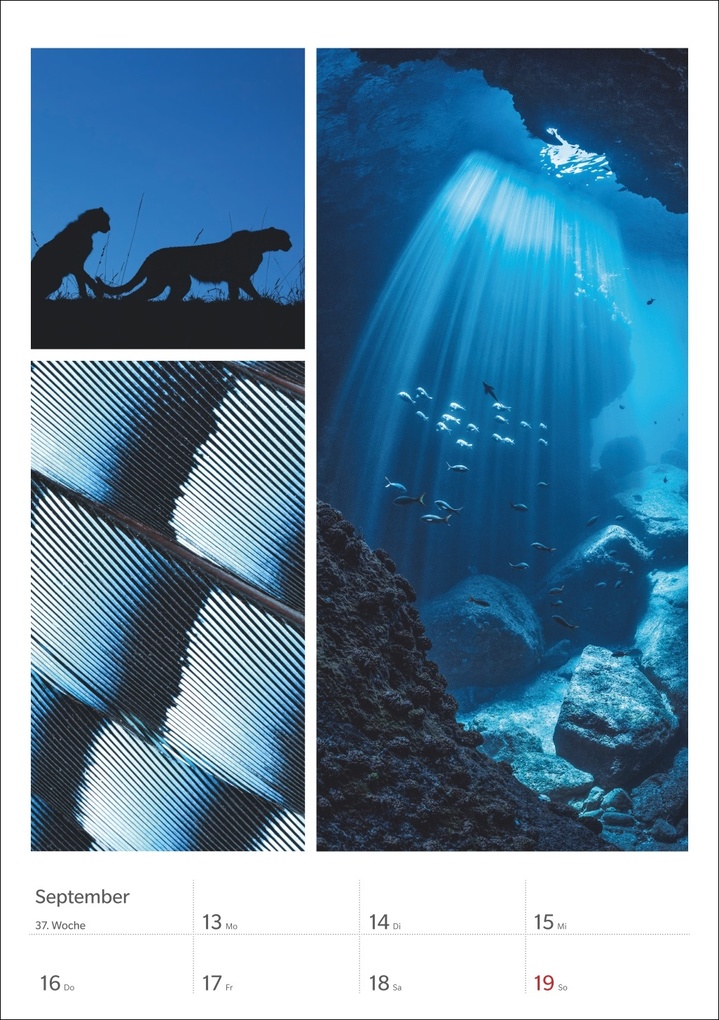 Weitere Ansicht: Magie der Farben Wochenplaner 2027