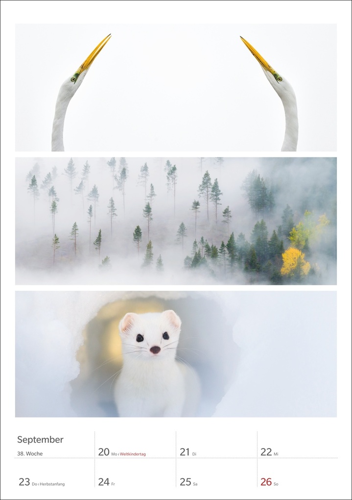 Weitere Ansicht: Magie der Farben Wochenplaner 2027