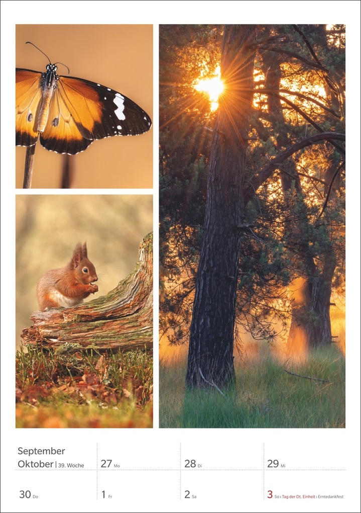 Weitere Ansicht: Magie der Farben Wochenplaner 2027