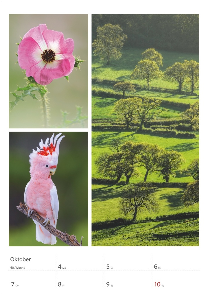 Weitere Ansicht: Magie der Farben Wochenplaner 2027