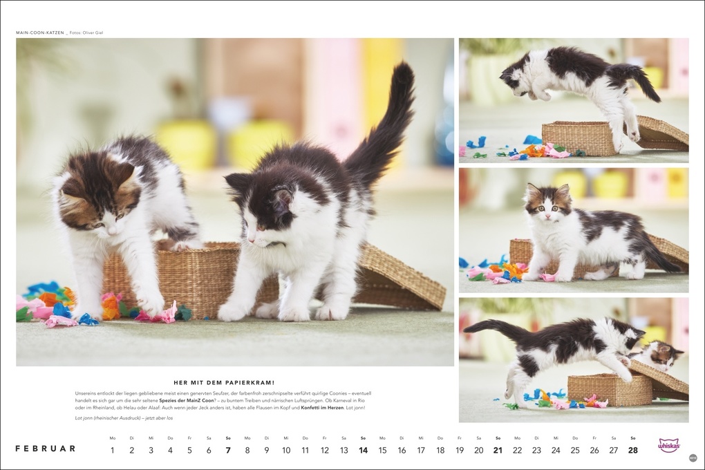 Weitere Ansicht: Whiskas Katzenkalender 2027