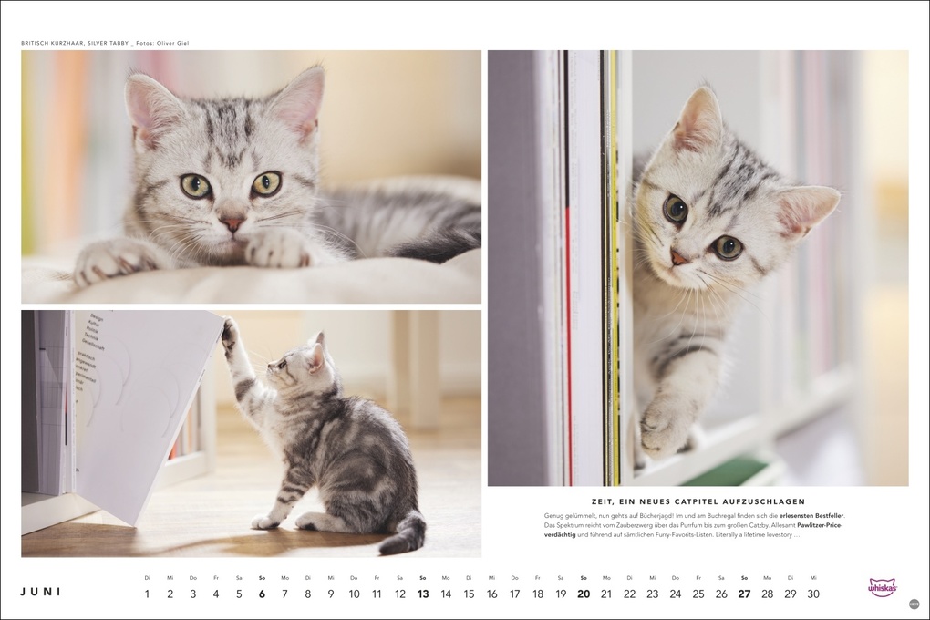 Weitere Ansicht: Whiskas Katzenkalender 2027