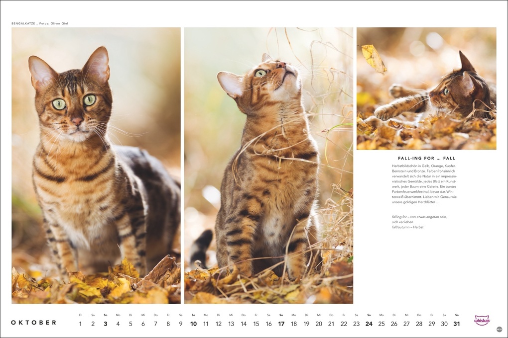 Weitere Ansicht: Whiskas Katzenkalender 2027