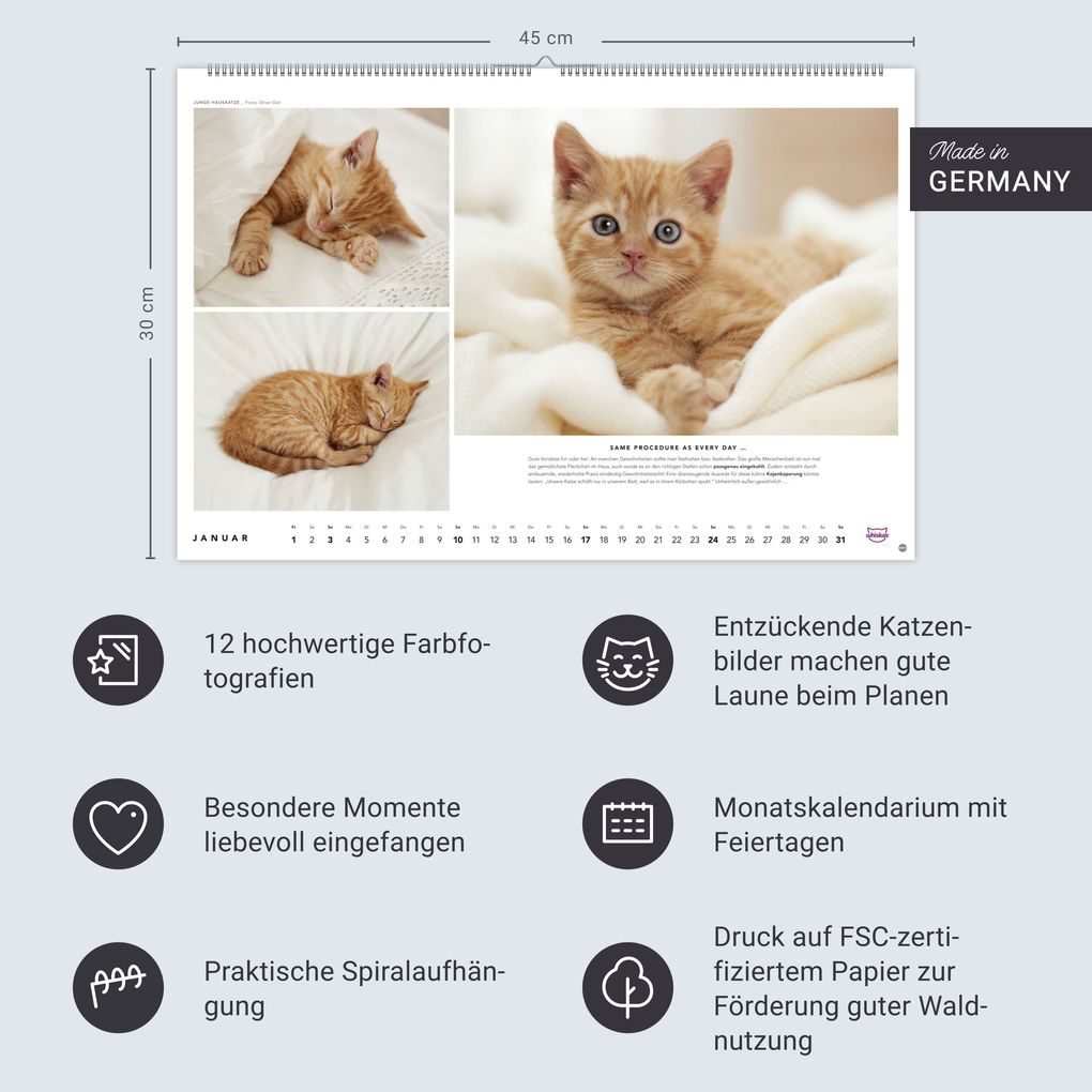 Weitere Ansicht: Whiskas Katzenkalender 2027