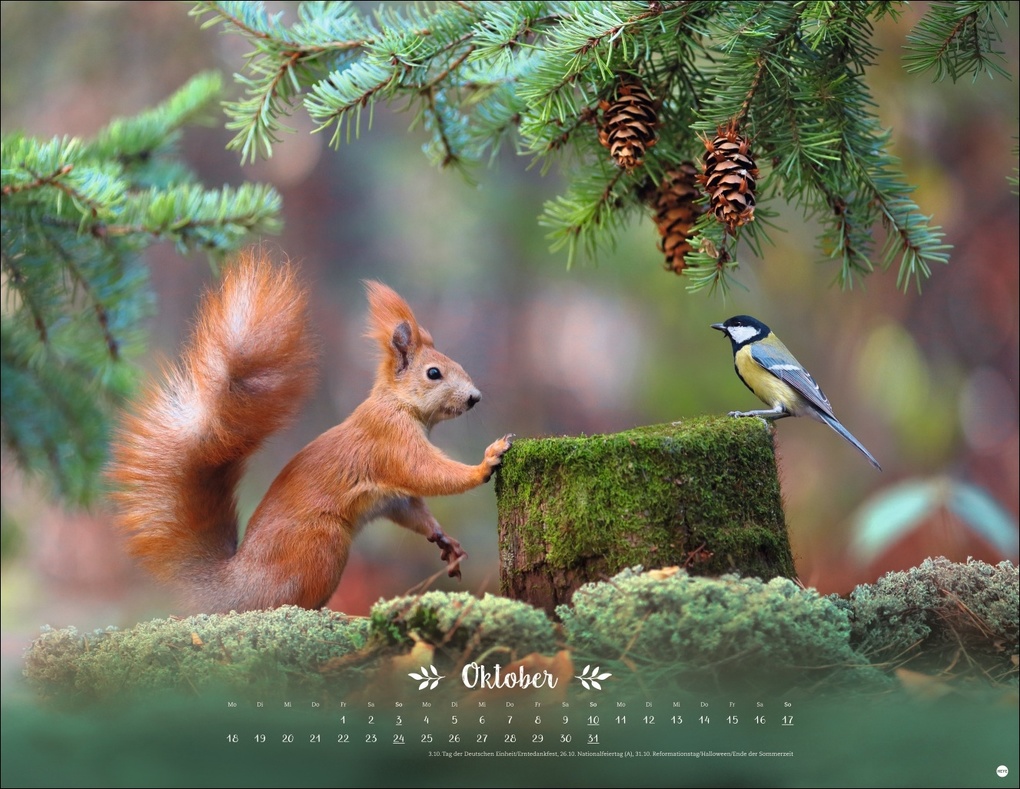 Weitere Ansicht: Vadim Trunov: Märchenhaftes Waldleben Posterkalender 2027