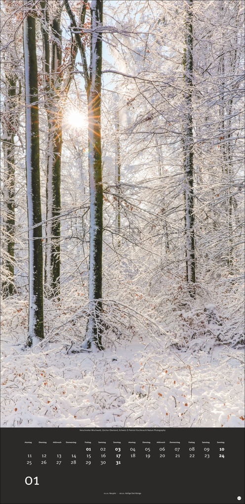 Weitere Ansicht: Colourful Nature 2027