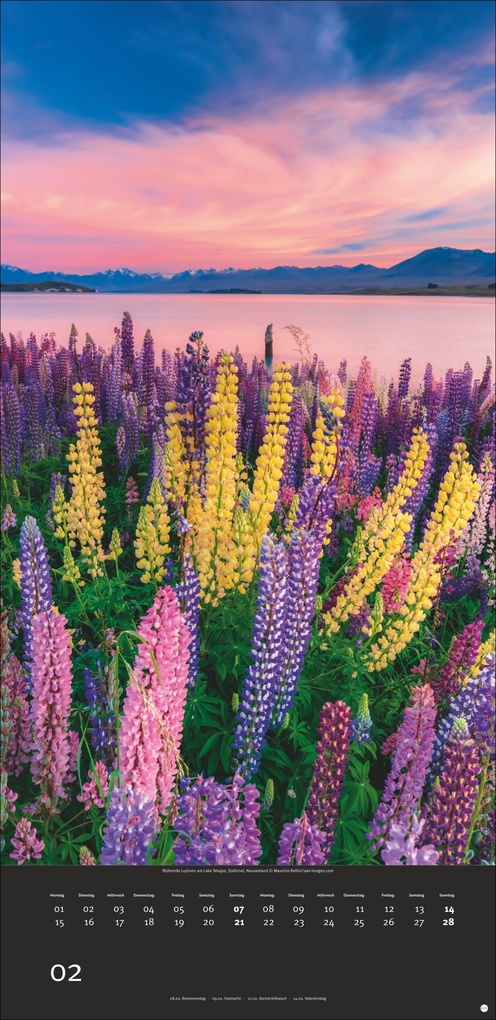 Weitere Ansicht: Colourful Nature 2027