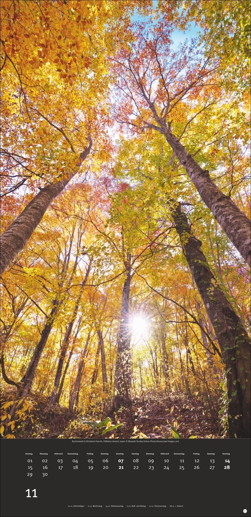 Weitere Ansicht: Colourful Nature 2027