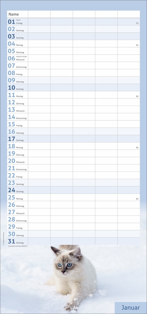 Weitere Ansicht: times&more Katzen Familienplaner 2027