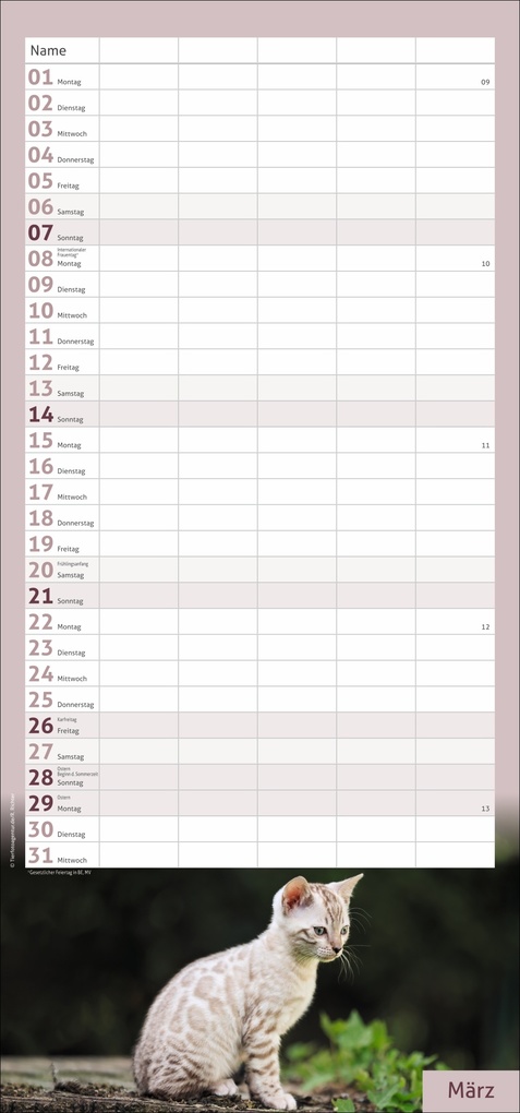 Weitere Ansicht: times&more Katzen Familienplaner 2027
