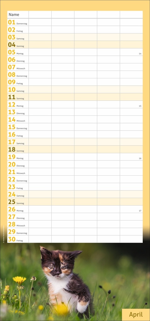 Weitere Ansicht: times&more Katzen Familienplaner 2027