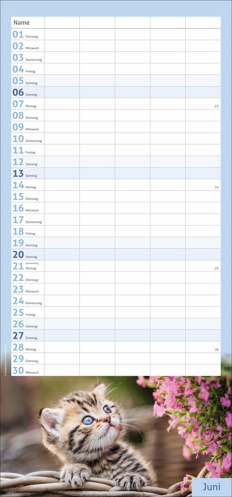Weitere Ansicht: times&more Katzen Familienplaner 2027