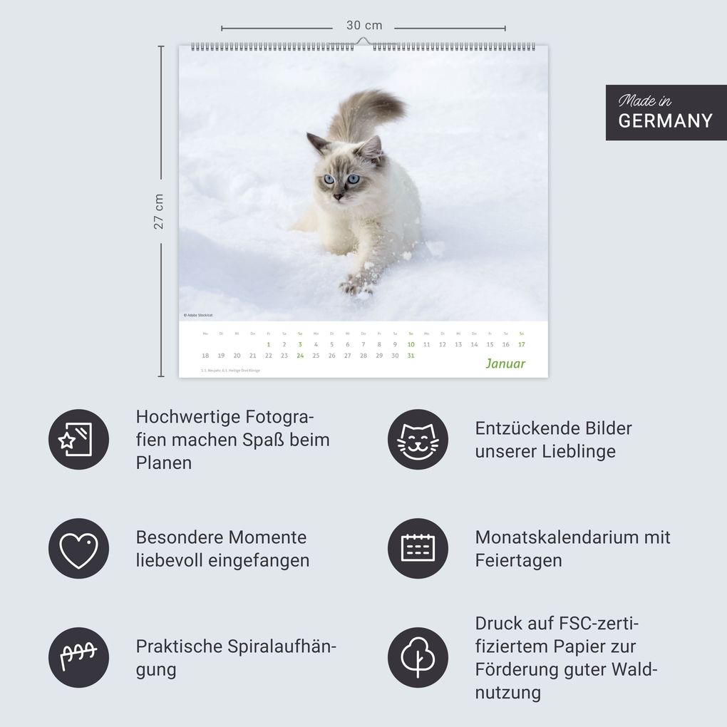 Weitere Ansicht: times&more Katzen Bildkalender 2027