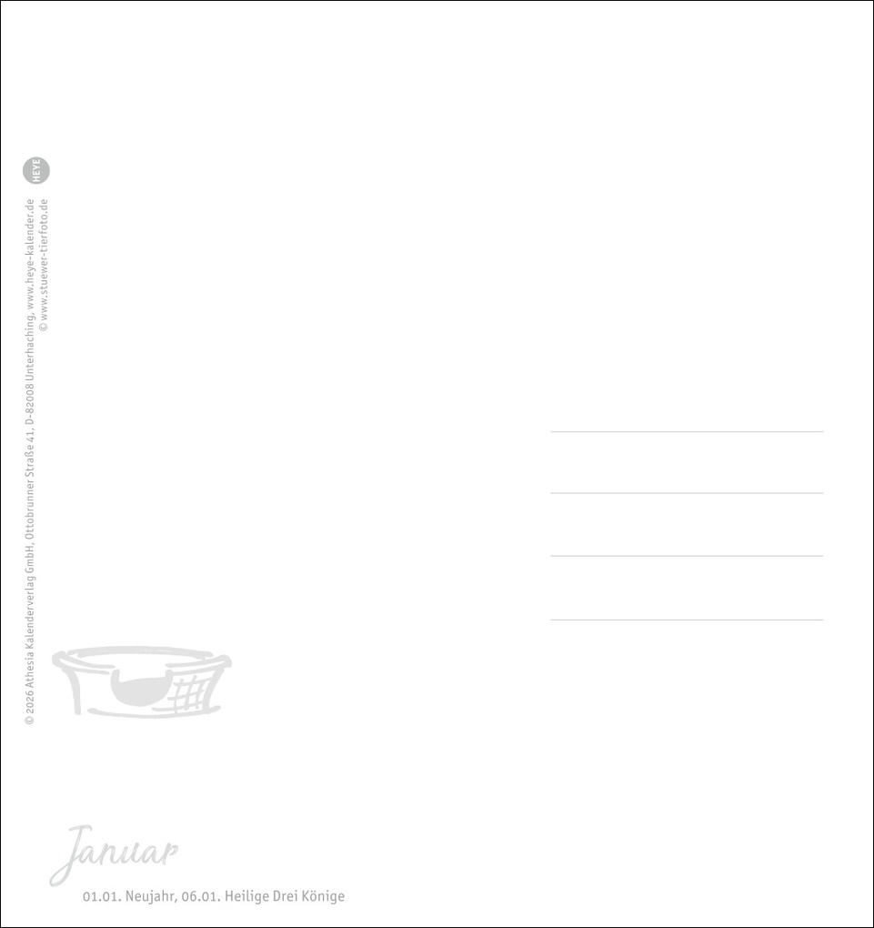 Weitere Ansicht: Dackel Postkartenkalender 2027