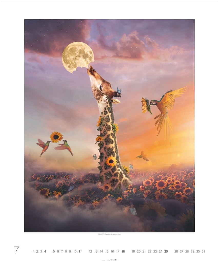 Weitere Ansicht: Surreale Welten Kalender 2027 | Natacha Einat