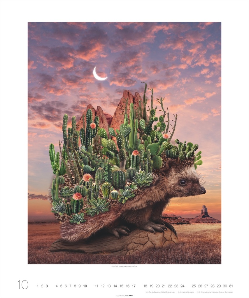 Weitere Ansicht: Surreale Welten Kalender 2027 | Natacha Einat