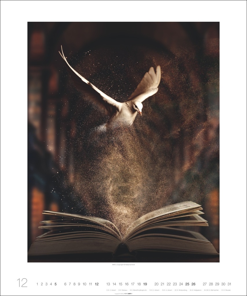 Weitere Ansicht: Surreale Welten Kalender 2027 | Natacha Einat