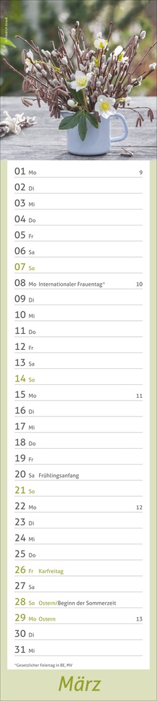 Weitere Ansicht: times&more Garten Langplaner 2027