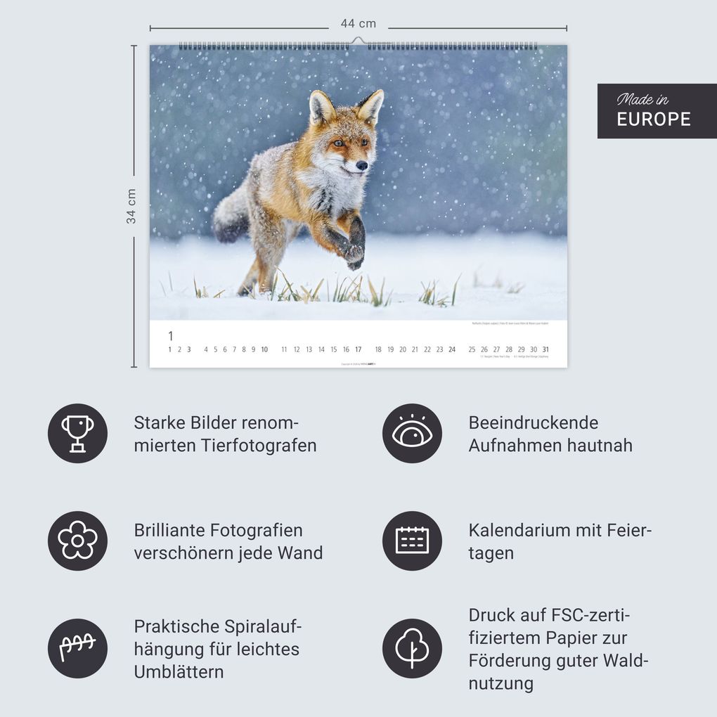Weitere Ansicht: Heimische Wildtiere Kalender 2027