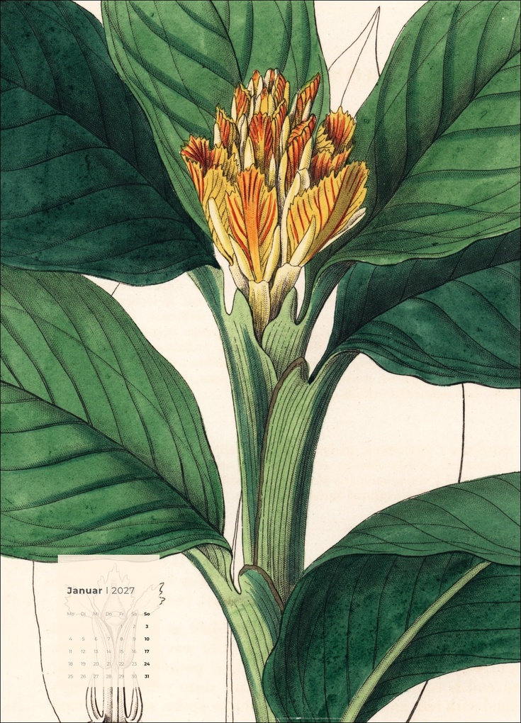 Weitere Ansicht: Botanicals Kalender 2027