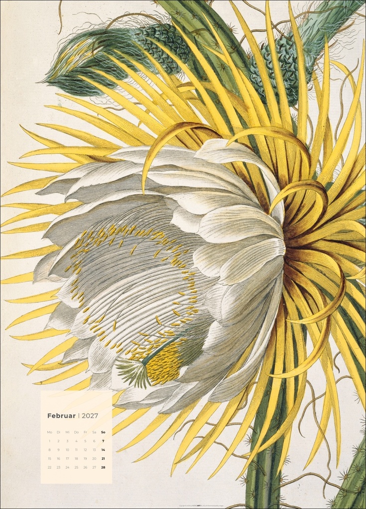 Weitere Ansicht: Botanicals Kalender 2027