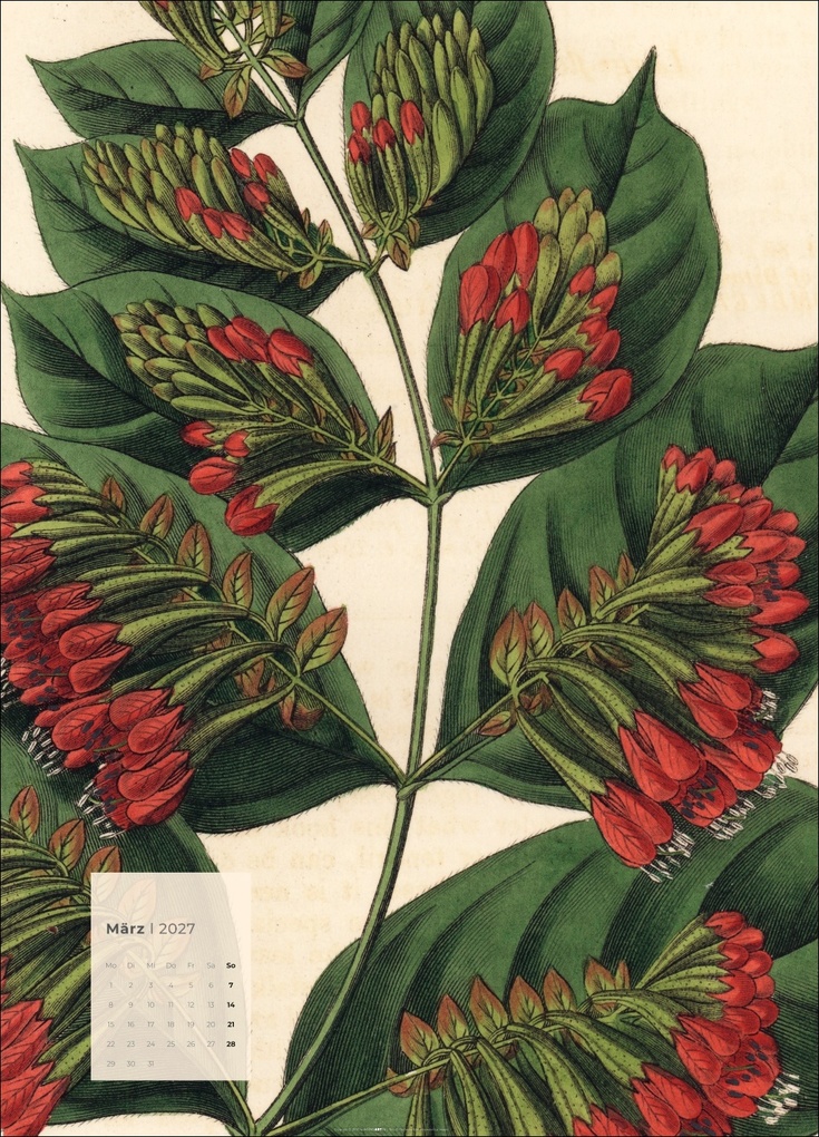 Weitere Ansicht: Botanicals Kalender 2027