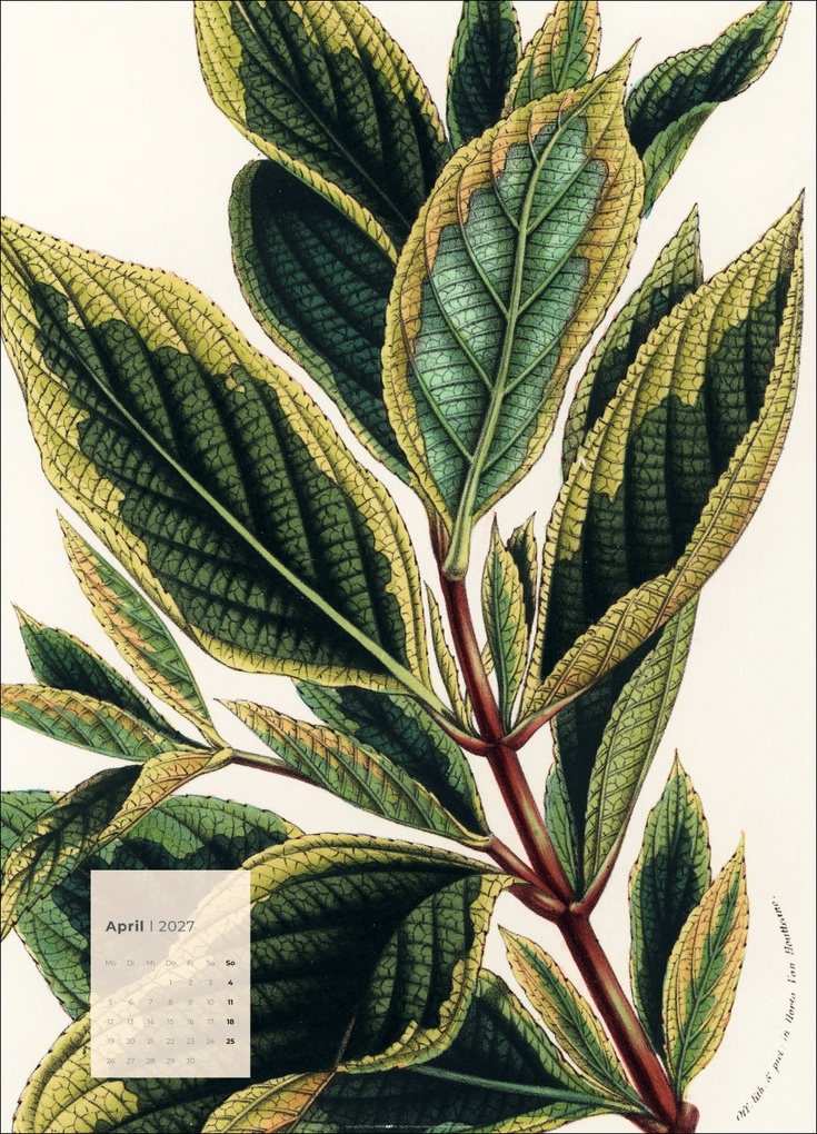 Weitere Ansicht: Botanicals Kalender 2027