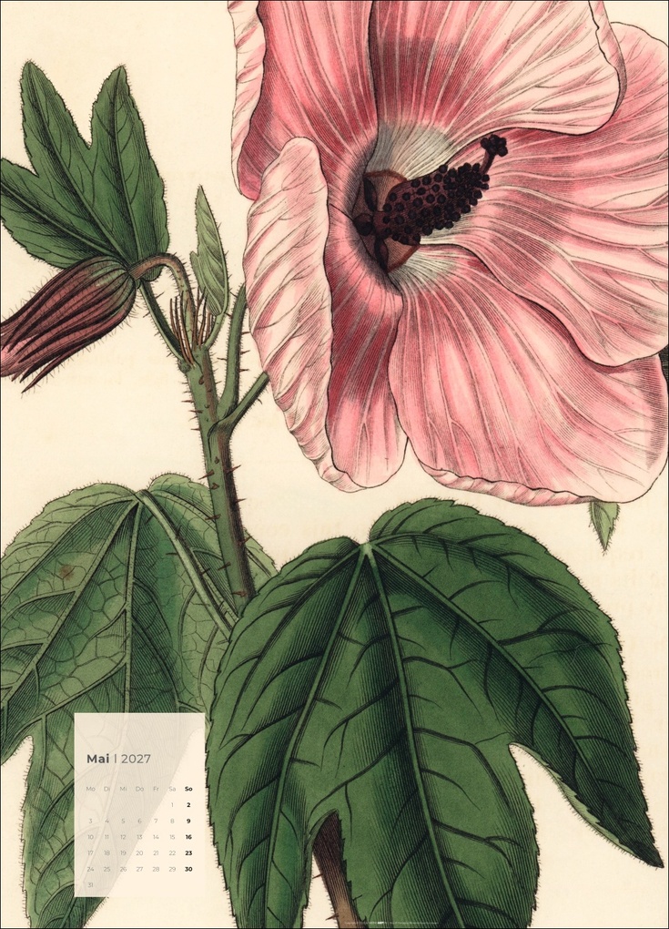 Weitere Ansicht: Botanicals Kalender 2027